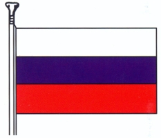 Flaga Republiki Czechosłowacji używana na terenie Słowacji w latach 1919-1920