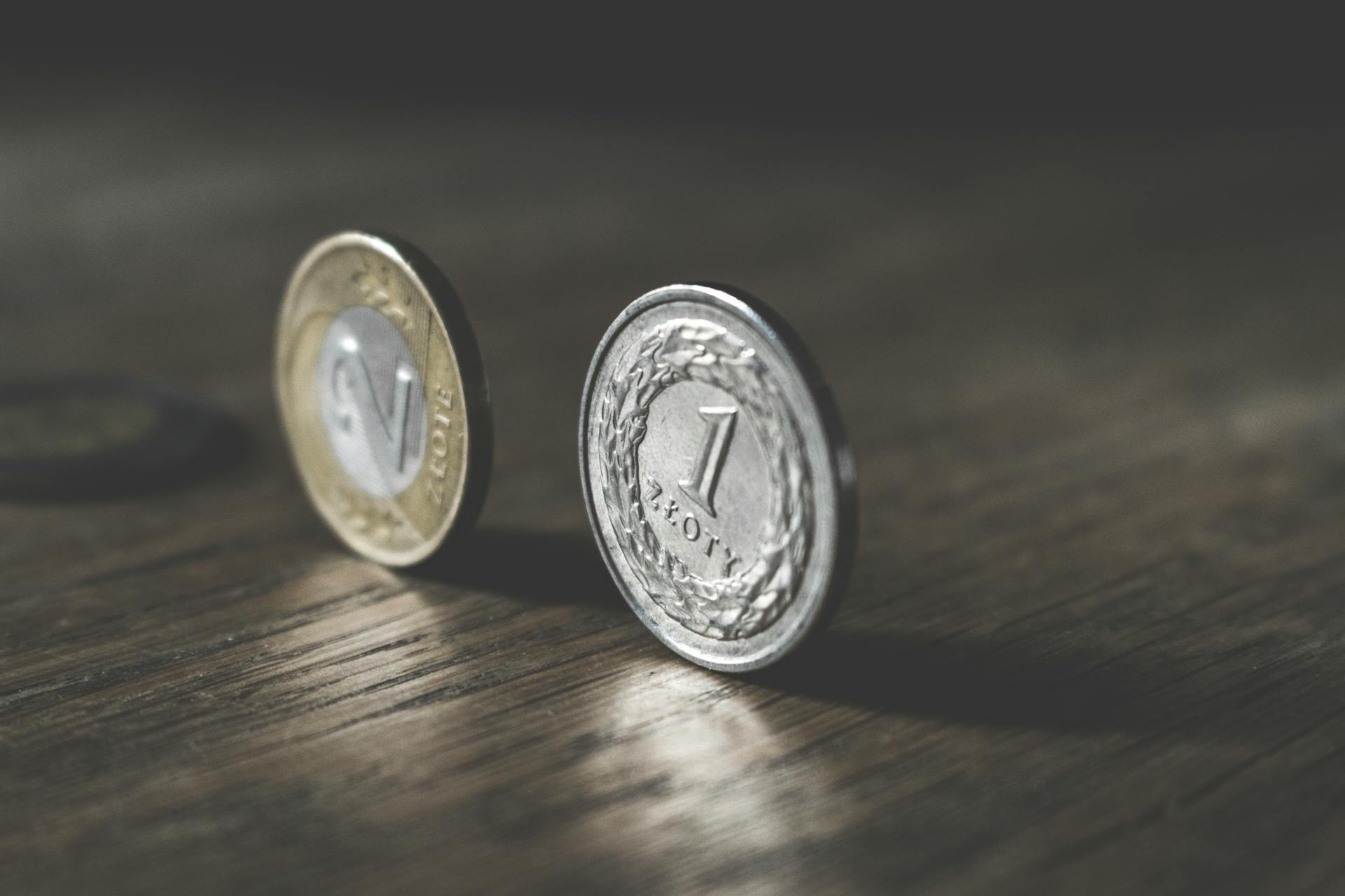 Brak pieniędzy na wydatki życiowe. Prawie 30% Polaków wyraża takie obawy