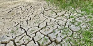 Susza uderza w energetykę i rolnictwo. Polacy odczuli wpływ na swoje portfele