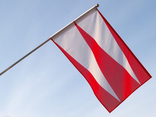 Flaga Polskiego Towarzystwa Weksylologicznego w formule Dobrej Flagi