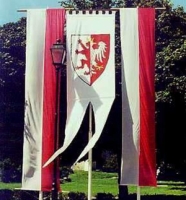 Pionowa flaga powiatowa pomiędzy pionowymi flagami biało-czerwonymi