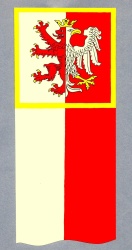 Studyjne projekty flagi pionowej Powiatu Łęczyckiego