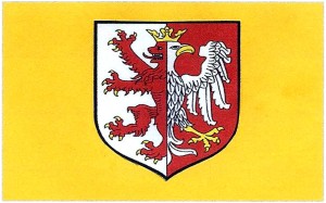 Studyjny projekt flagi dla łęczyckiego samorządu powiatowego Z płachtą o żółtej barwie ( by KJG )