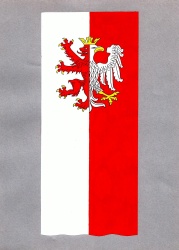 Wstępny projekt flagi pionowej Powiatu Łęczyckiego z godłem herbu