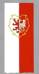 Wstępne projekty flagi pionowej Powiatu Łęczyckiego z herbem w kartuszu