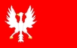 Wybrane projekty bander dla Marynarki Polskiej z lat 1918-1919