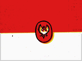 Bandera projektu płk. marynarki Bogumiła Nowotnego