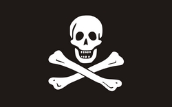 Flaga Pirata