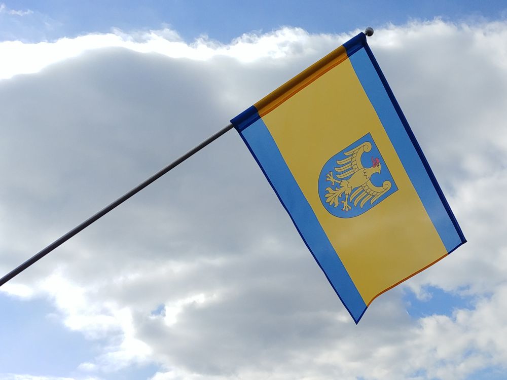 Flaga miasta Pszczyna