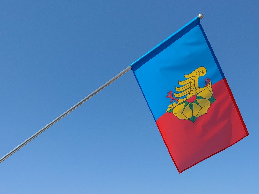 Flaga miasta Wodzisław Śląski
