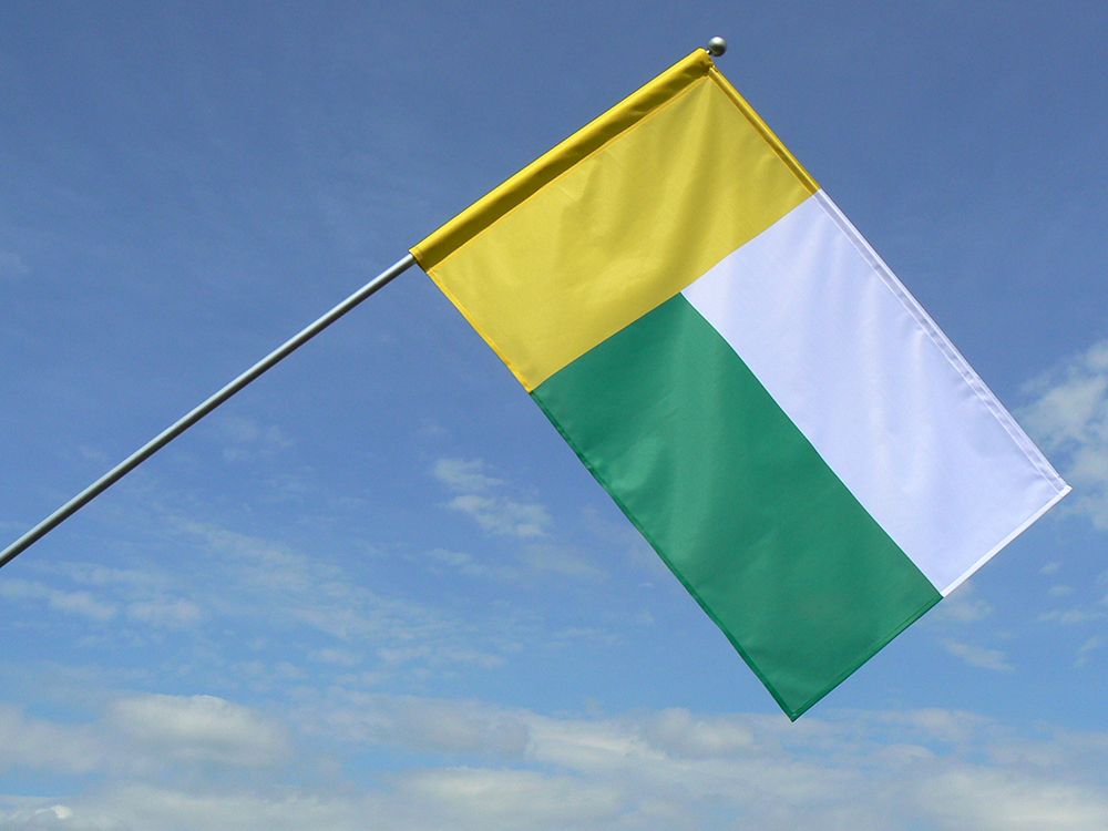 Flaga miasta Zielona Góra